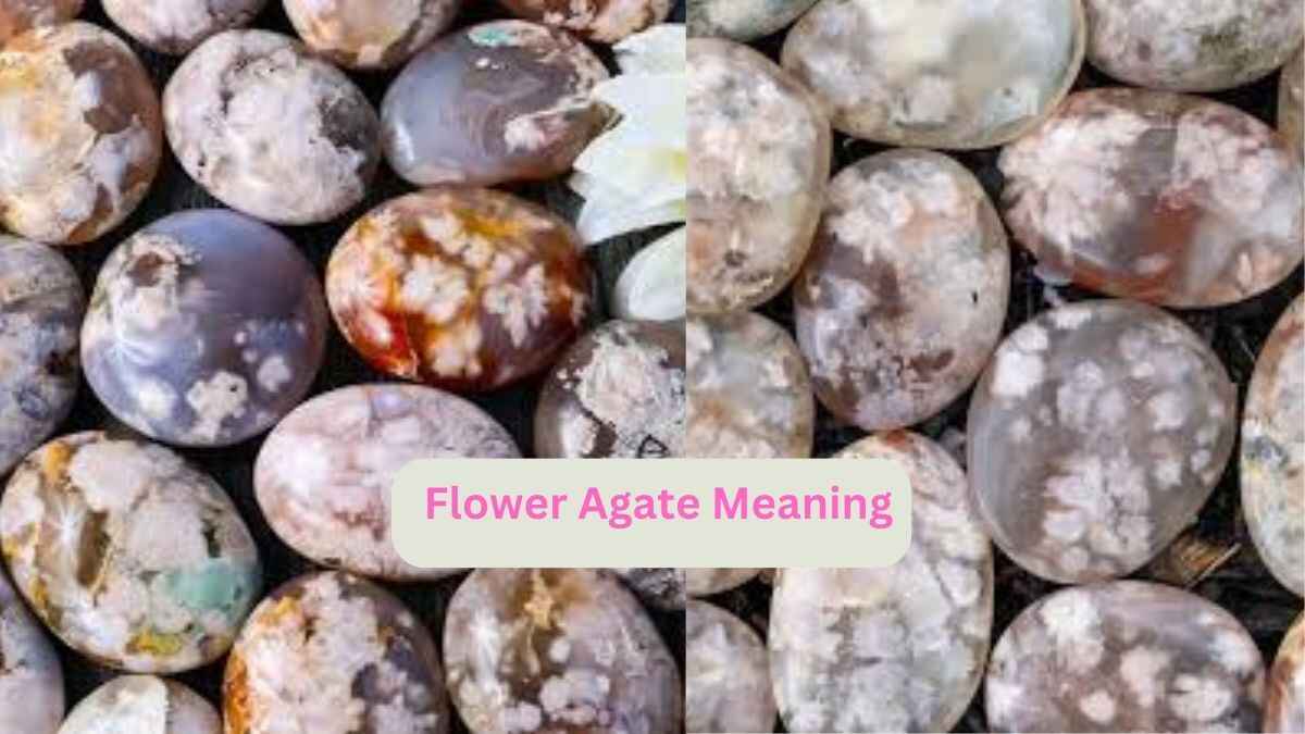 flower Agate Meaning