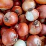 how many onions grow from one bulb in pots